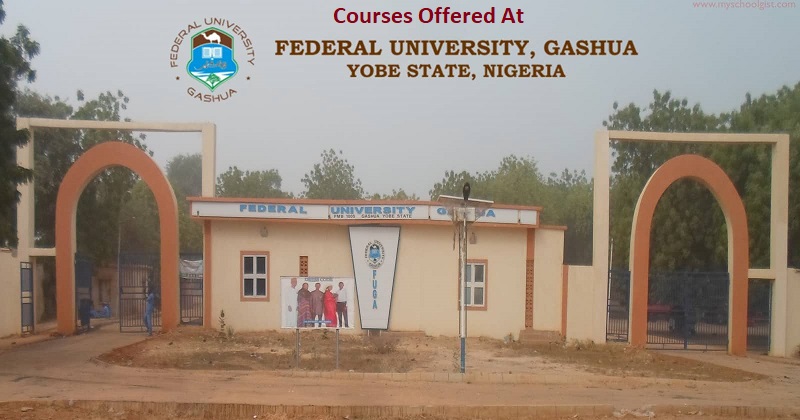 Courses Offered At FEDERAL UNIVERSITY GASHUA YOBE (FUGASHUA), Subject Combination, Admission requirement