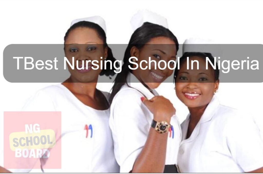 Best Nursing School In Nigeria
