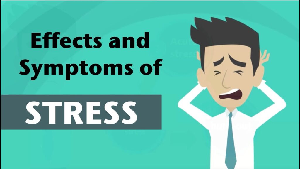 The Effects of Stress On The Body And Mind