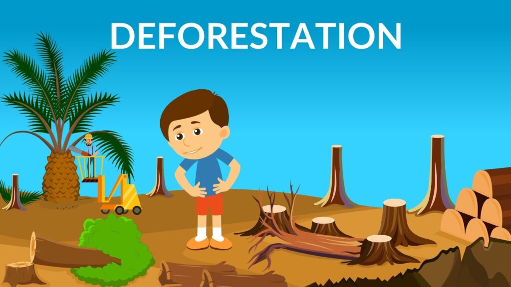 The impact of deforestation on biodiversity