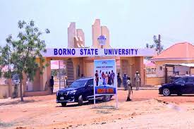 Bornu State University School Fees