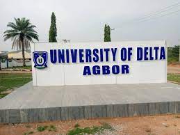 Delta State University courses offered