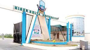 Niger Delta University Courses Offered