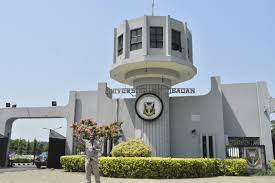 Ibadan University Courses