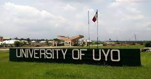 Uyo University Courses