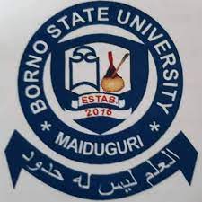 Bornu State University Courses Offered