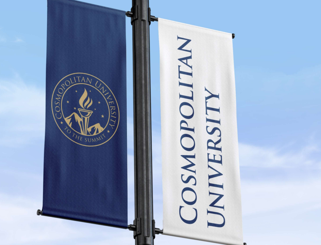 Cosmopolitan University Courses Offered