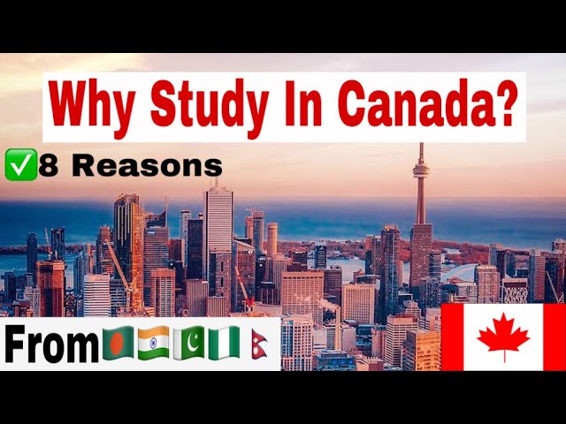 Reasons To Study A Bachelor’s Degree in Canada