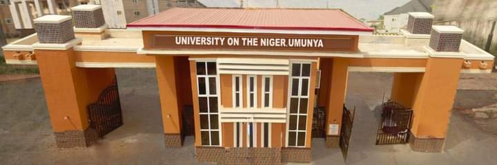 University on the Niger, Umunya Courses Offered