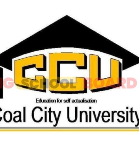 Coal city University