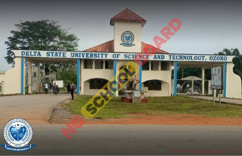 Delta University of Science and Technology Courses Offered