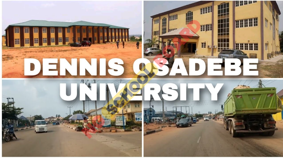 An Overview of Courses at Dennis Osadebe University