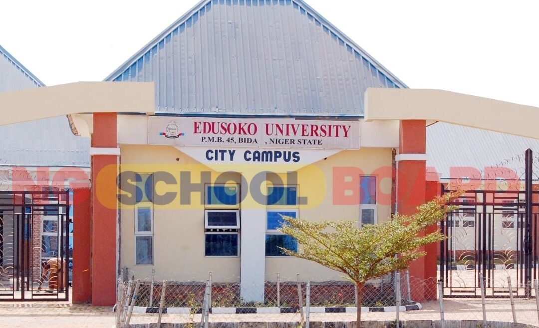 Edusoko University