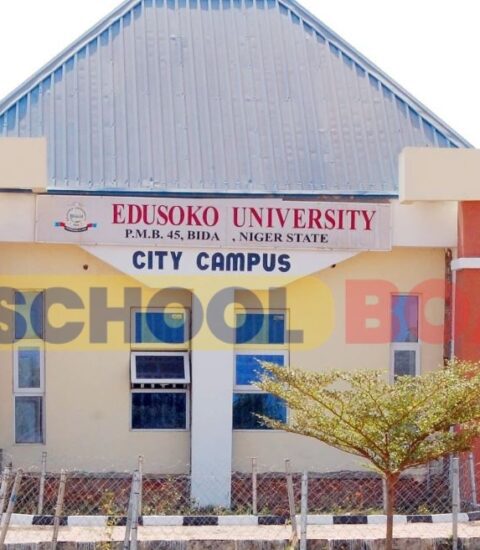 Edusoko University