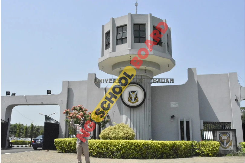 University of Ibadan School Fees