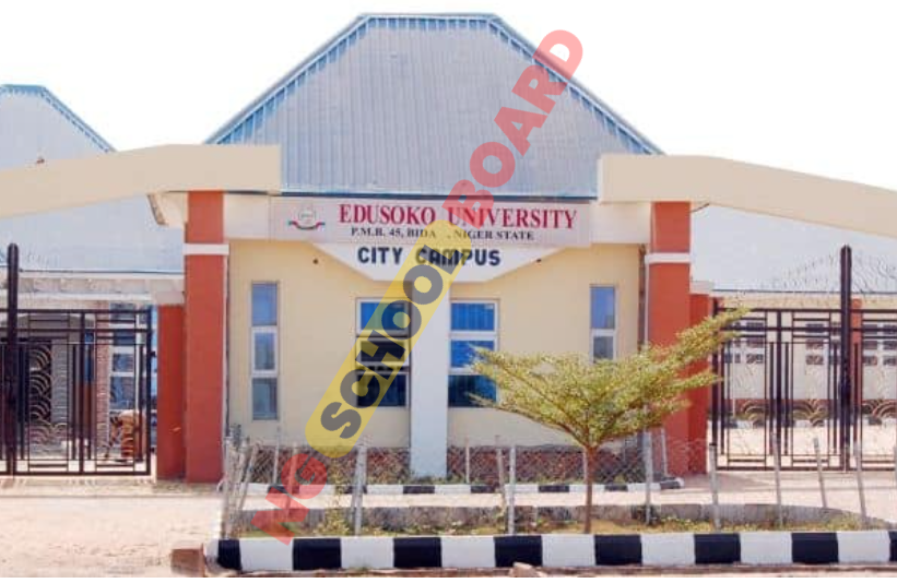 Edusoko University Courses Offered