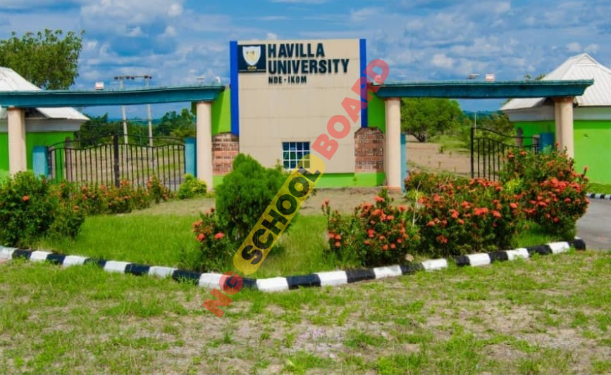 Havilla University Courses Offered