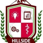 Hillside University of Science and Technology logo