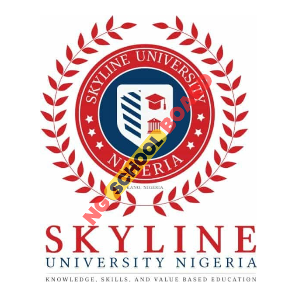 Skyline University Courses Offered